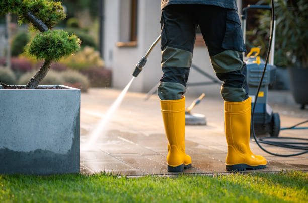 Best Deck Cleaning Services  in Washington, IA